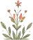 Decoracao floral
