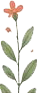 Decoracao floral